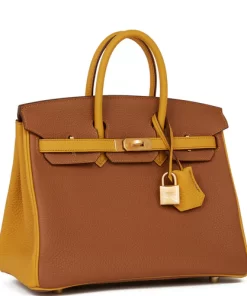 Hermès Special Order (HSS) Birkin 25 Gold and Jaune Ambre Togo Brushed Gold Hardware