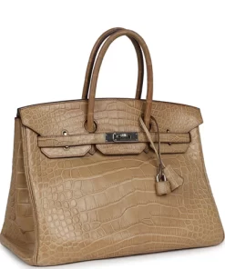 Pre-owned Hermès Birkin 35 Poussiere Matte Alligator