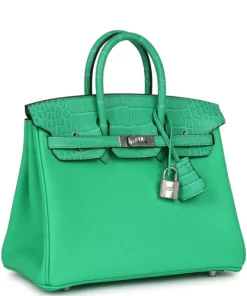 Hermès Birkin 25 Vert Comics Togo and Matte Alligator Touch Palladium
