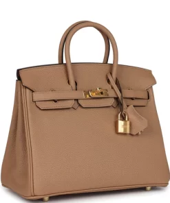 Hermes Birkin 25 Chai Togo Gold Hardware