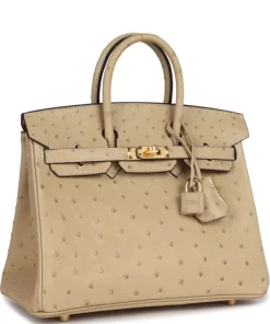Hermès Birkin 25 Trench Ostrich Gold Hardware